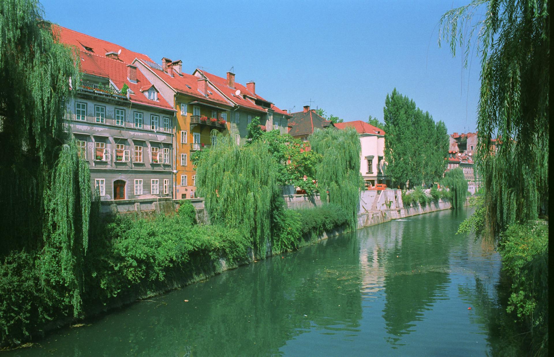Stunning nature around Ljubljanica river in Ljubljana