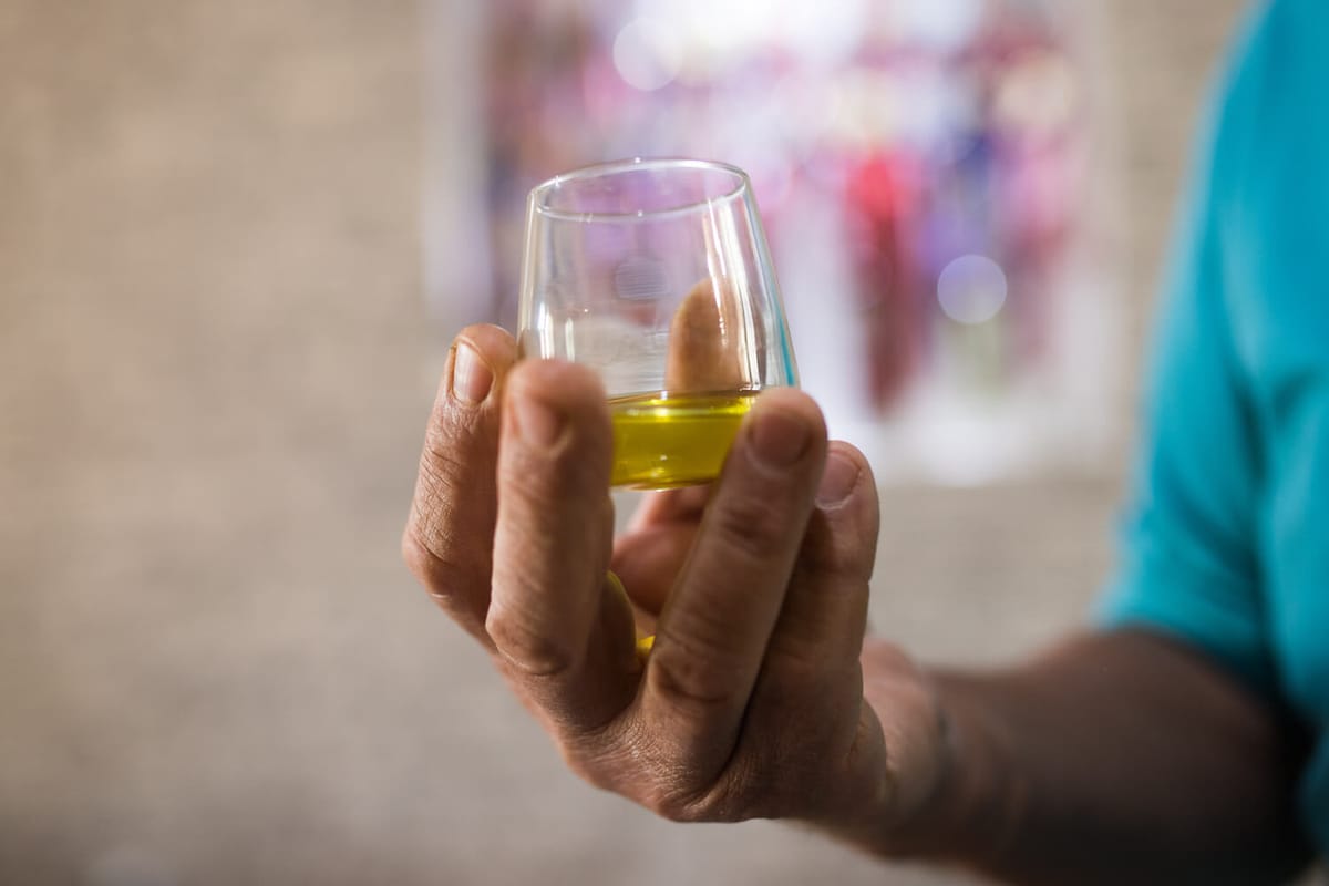 Olive oil tasting experiences - true potential of Croatian tourism
